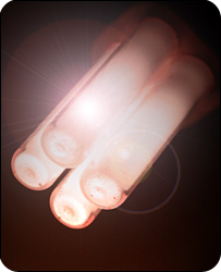 IEA bulbs